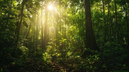 Lush forest being restored through reforestation efforts, nature conservation, eco-friendly