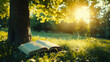 © Alina Tymofieieva - A serene moment of reading under a tree at sunset in a peaceful park filled with soft grass and warm golden light