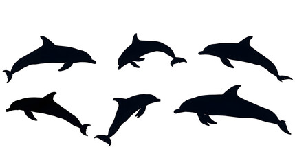  dolphin silhouettes