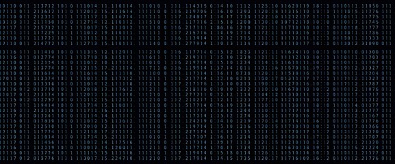 A minimalist grid of binary code lines the background.