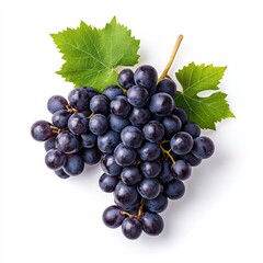 Wall Mural - Cluster of deep purple grapes with autumn leaves attached isolated on white background 