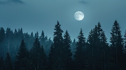 A serene forest clearing under a bright full moon with silhouetted trees. 