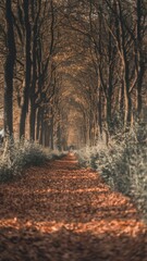 Sticker - Autumn Pathway Through Trees in Warm Tones