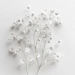 Sticker - Delicate White Flowers on Minimalist Background