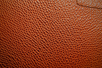 Canvas Print - Natural Brown Grain Leather Texture. Background.