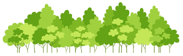 Green tree border. Forest foliage and coniferous plants in row. Forest trees panorama