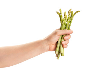 Wall Mural - asparagus in hand path isolated on white