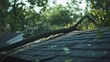 © B 7 YOU - A large tree branch has fallen onto a residential roof, causing damage to the shingles.