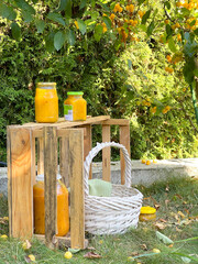 Rolled jars of jam under tree with apples. Harvest in garden. Small yellow apples and jam for dessert, cooking for winter. Environmentally friendly product. 