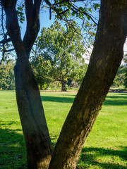 Park of Monza, Italy, at September