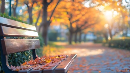 Morning blur in autumn park Orange red maple leaves Yellow forest tree on background Fall season nature scene beauty Bench alley in city garden Path in woods scenery in sun street Blur : Generative AI