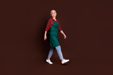 Wall Mural - Photo of lovely optimistic lady wear trendy clothes going work farmland isolated on brown color background