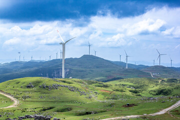 Green prairie under blue sky and white clouds