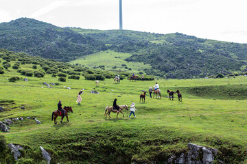 The green grasslands and lush green grass are beautiful.