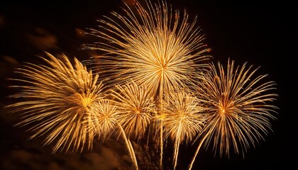 Wall Mural - new year fireworks
