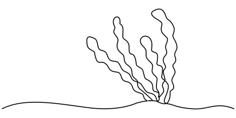 seaweed sketch drawing one continuous line vector, Seaweed drawn in one continuous line. One line drawing, minimalism. Vector illustration, Corals seaweed one line drawing. Different types of corals