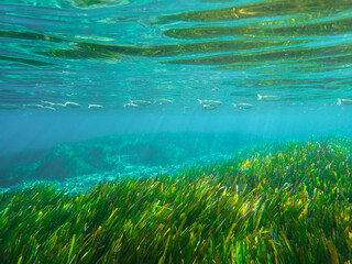 Dark blue ocean surface seen from underwater. Abstract waves underwater and rays of sunlight shining through, Sun light rays undersea deep, Underwater background with sea bottom, Mediterranean sea.