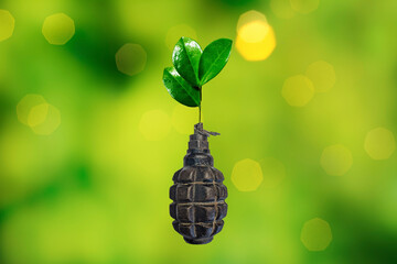 Young green tree grows from a grenade. Peace, no war concept