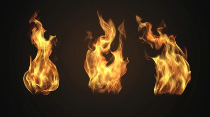 Canvas Print - A realistic fire flame for use in design applications with a transparent background.