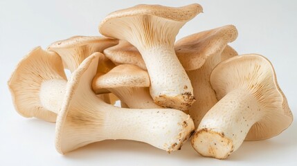 A small pile of King oyster mushrooms displayed on a pristine white background, with soft lighting accentuating their earthy tones and textures.