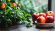 © Wimon - A rustic wooden table with fresh apples and herbs, with a kitchen setting bathed in soft natural light.
