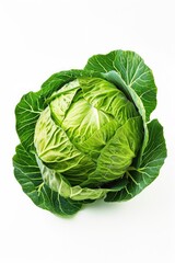 Canvas Print - Fresh cabbage head on a clean white surface