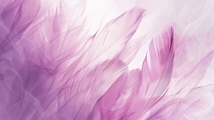 Sticker - Soft Pink Feathers