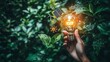© Arieswanto - Hand Holding a Lit Light Bulb with Green Leaves and Sustainable Energy Icons