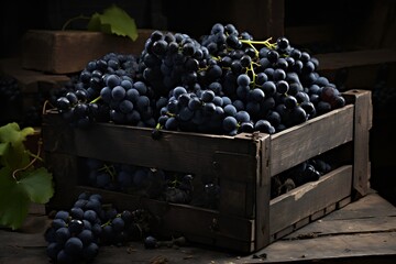 Wall Mural - Fresh ripe Black grapess in wooden crate