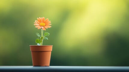 Canvas Print - Miniature potted plant with a single vibrant flower blooming, showcasing the beauty of growth and resilience.