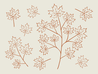 Wall Mural - Maple leaf and branch line art illustration set. Hand drawn graphic. Cute one color doodle of fall element. Autumn leaves sketch.