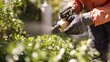 © Arieswanto - Person wearing gloves spraying a plant with a sprayer