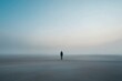 © Guy - Solitary Figure in Foggy Landscape