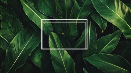 Wall Mural - A collection of lush green leaves with a blank frame in the center for text or images.