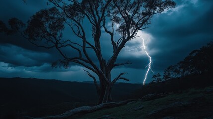 Canvas Print - A dramatic scene of a tree illuminated by lightning against a dark, stormy sky.