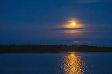 Wall Mural - Moonshine over the lake