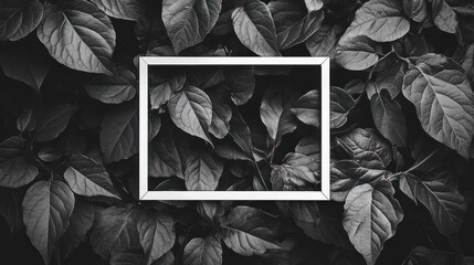 Sticker - A minimalist frame set against a backdrop of dark green leaves, emphasizing nature.