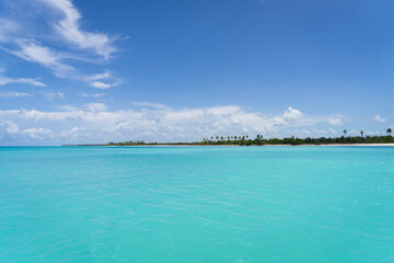 Panorama of Saona Island. Caribbean Sea with clear turquoise ocean, blue sky and green palms.Dominican Republic