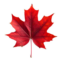 red maple leaf isolated on transparent background generative ai.