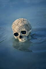 decorative human skull in water, natural abstract background. Witchcraft, magic esoteric ritual. Mysticism, divination, wicca, occultism concept. template for design