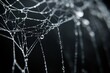 © SKIMP Art - A black background with white spider webs hanging from the top left corner, with large drops of water falling down in an isolated position Generative AI