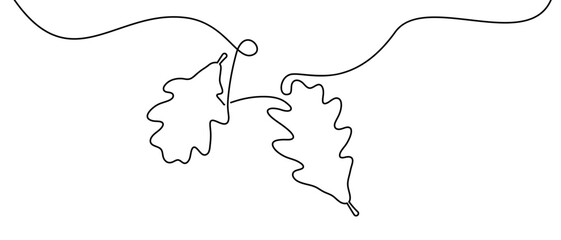 Wall Mural - vector illustration of two oak leaves connected by a flowing line, perfect for simple and elegant de
