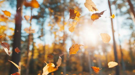 Wall Mural - autumn leaves levitating pattern, colorful autumn forest in the background