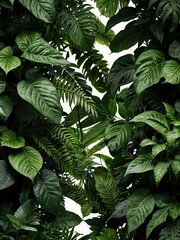 Lush green foliage with a white background.