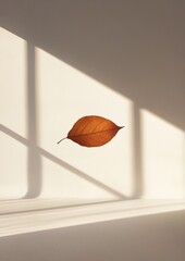 Poster - A leaf is on a white wall, with a window behind it