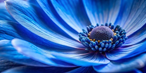 Close-Up of a Blue Anemone Flower Petals, Macro Photography, Detailed Flower Structure, Blue, Nature, Botanical , anemone