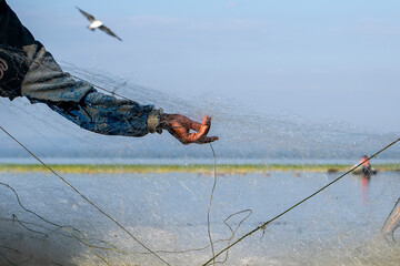 Ethiopia, Arm of a Fishermen who brings in the nets on the shores of Lake Awassa