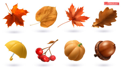 Wall Mural - autumn, high quality 3d realistic vector set