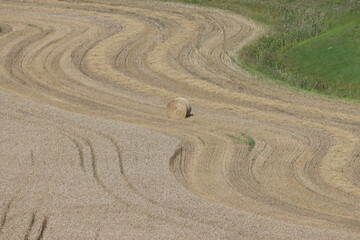 Canvas Print - Sweden. A combine harvesting wheat in a field near the city of Linköping. Östergötland County.