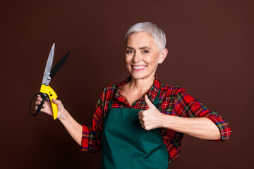 Poster - Photo of optimistic short grey hair lady wear red checkered shirt hold instrument thumb up isolated on brown color background